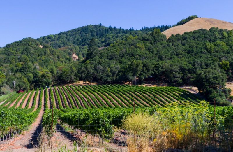 Hero for Home Services Options