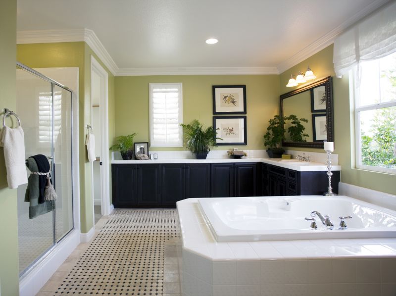 Elegant Bathtub Conversions